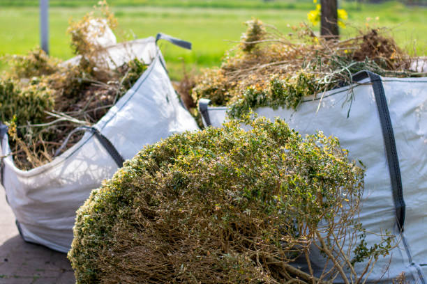 Best Same-Day Junk Removal Services  in Hoxie, KS